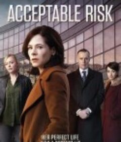 可接受风险 第一季 Acceptable Risk Season 1            (2017)