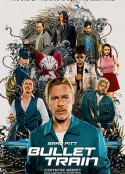 子弹列车 Bullet Train            (2022)