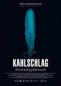 林中禁爱 Kahlschlag    (2018)