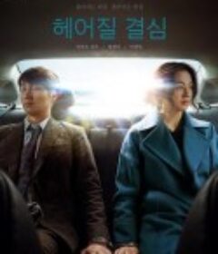 分手的决心 헤어질 결심            (2022)