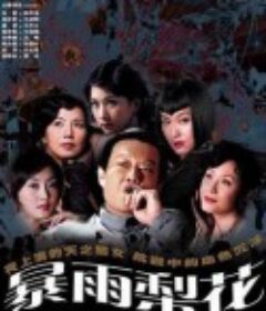 暴雨梨花            (2006)