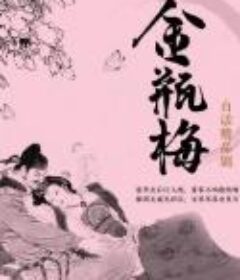 《金瓶梅》评书版共100回·播讲：李庆丰 高品音质MP3