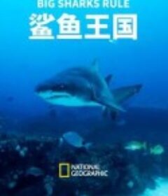 鲨鱼王国 Big Sharks Rule            (2018)