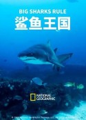 鲨鱼王国 Big Sharks Rule            (2018)