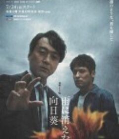 雨中消失的向日葵 雨に消えた向日葵            (2022)