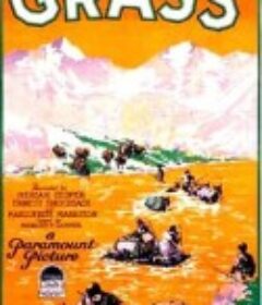 青草：一个民族的生活之战 Grass: A Nation's Battle for Life            (1925)