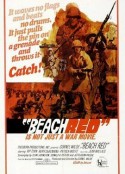 抢滩总攻击 Beach Red            (1967)