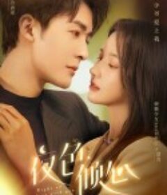 夜色倾心            (2022)