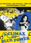 蓝色力量中的性高潮 A Climax of Blue Power            (1975)