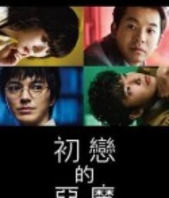 初恋的恶魔 初恋の悪魔            (2022)