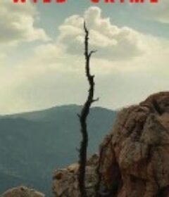 狂野罪行 Wild Crime            (2021)