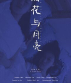 烟花与月亮            (2019)