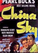 中国的天空 China Sky            (1945)