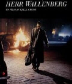 晚安，沃伦伯格先生 God Afton, Herr Wallenberg            (1990)