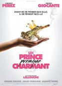 几近完美的白马王子 Un Prince (presque) charmant            (2013)