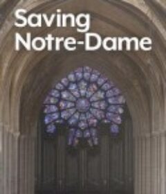 修复巴黎圣母院            (2020)