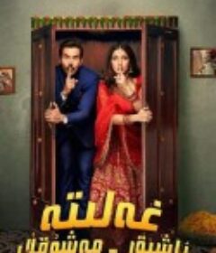 永结同心 Badhaai Do            (2022)