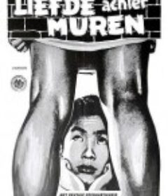 墙中秘事 壁の中の秘事            (1965)