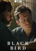 黑鸟 Black Bird            (2022)