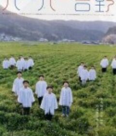 吉野理发之家 バーバー吉野            (2004)