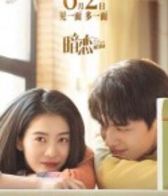 暗恋·橘生淮南            (2022)