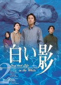 白影 白い影            (2001)