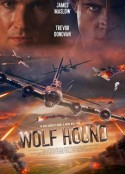 猎狼犬行动 Wolf Hound            (2022)