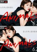 动物 ANIMALS‐アニマルズ‐            (2022)
