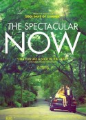 好景当前 The Spectacular Now            (2013)
