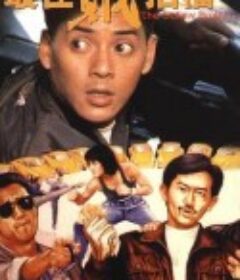 最佳贼拍档            (1990)