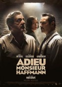永别了霍夫曼先生 Adieu Monsieur Haffmann            (2022)