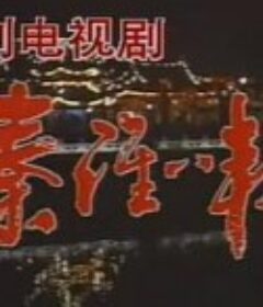 秦淮八艳            (1991)