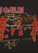 秦淮八艳            (1991)