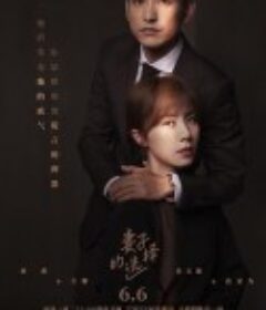 妻子的选择            (2022)