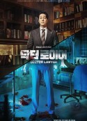 医法刑事 닥터로이어            (2022)