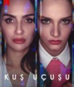 直线篡位 Kus uçusu            (2022)