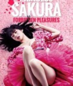 樱姬 桜姫            (2013)