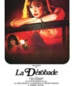 再见了，巴黎的夜 La dérobade            (1979)