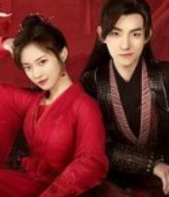 双面赘婿            (2022)