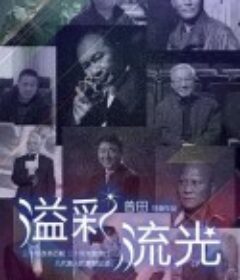 溢彩流光            (2009)