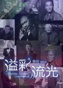 溢彩流光            (2009)