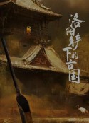 洛阳铲下的古国            (2017)