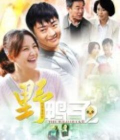 野鸭子2            (2013)