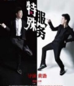 特殊服务            (2012)