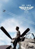 壮志凌云2：独行侠 Top Gun: Maverick            (2022)图片