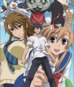 猫愿三角恋 にゃんこい            (2009)