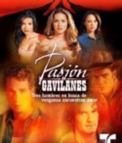 隐秘的激情 Pasión de gavilanes            (2003)