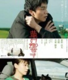 草之韵 草の響き            (2021)