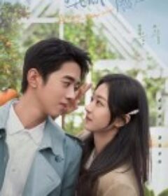 你好呀，我的橘子恋人            (2022)