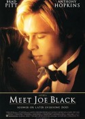 第六感生死缘 Meet Joe Black            (1998)